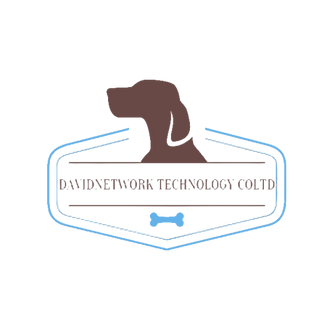 DavidNetwork Technology CoLtd
