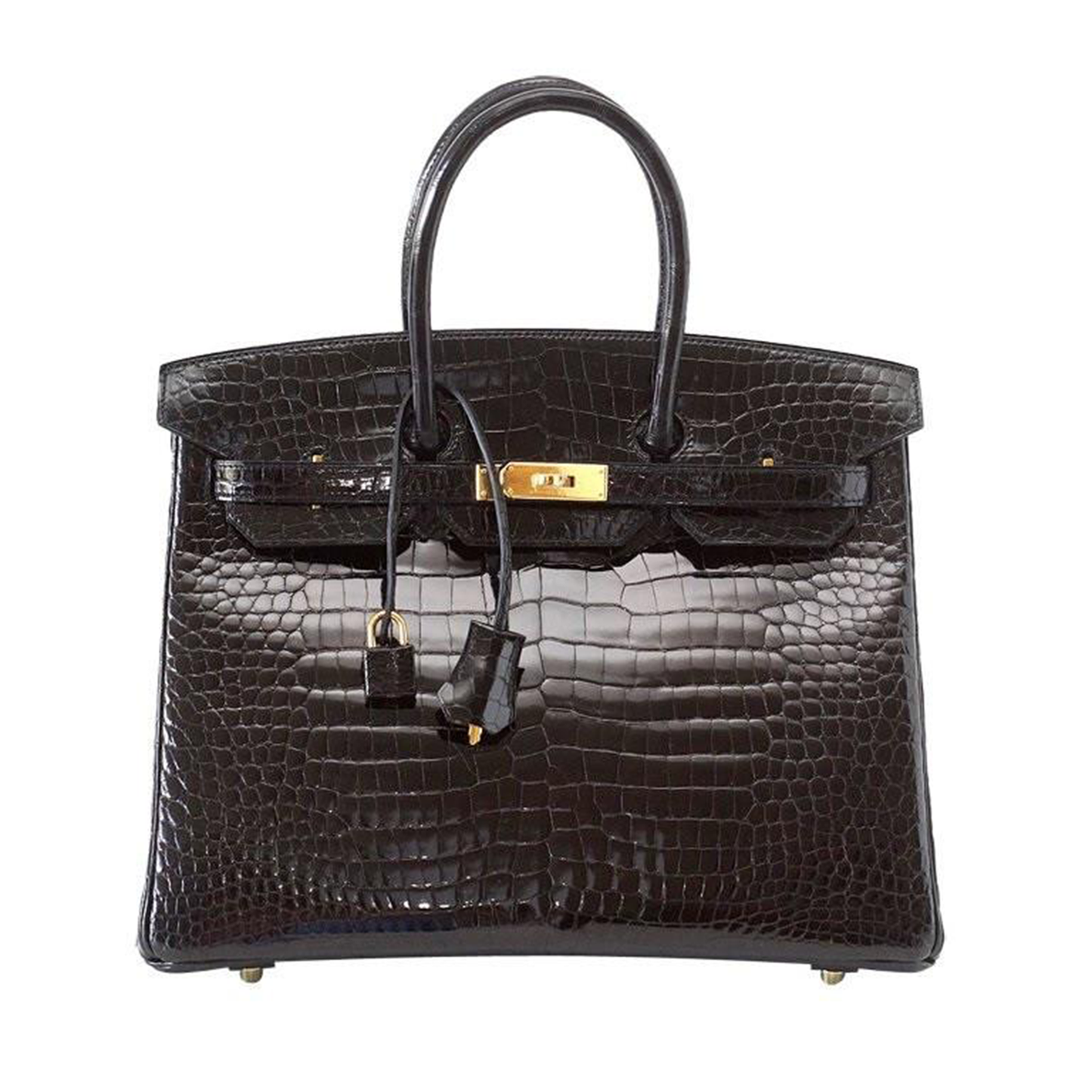 Glossy Jet Black Delicate Compact Scale Embossed Roomy Structured Hand Tote With Warm Golden Twist Lock Hardware, Matching Suspended Embossed Padlock Charm And Base Defensive Metal Studs